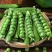 【云南高原新鲜豌豆荚】露天现摘现发粉面糯甜5斤新鲜蔬菜代