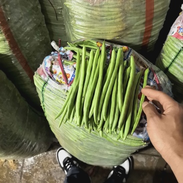 四季豆云南产地直发价格优惠品质保证欢迎来电