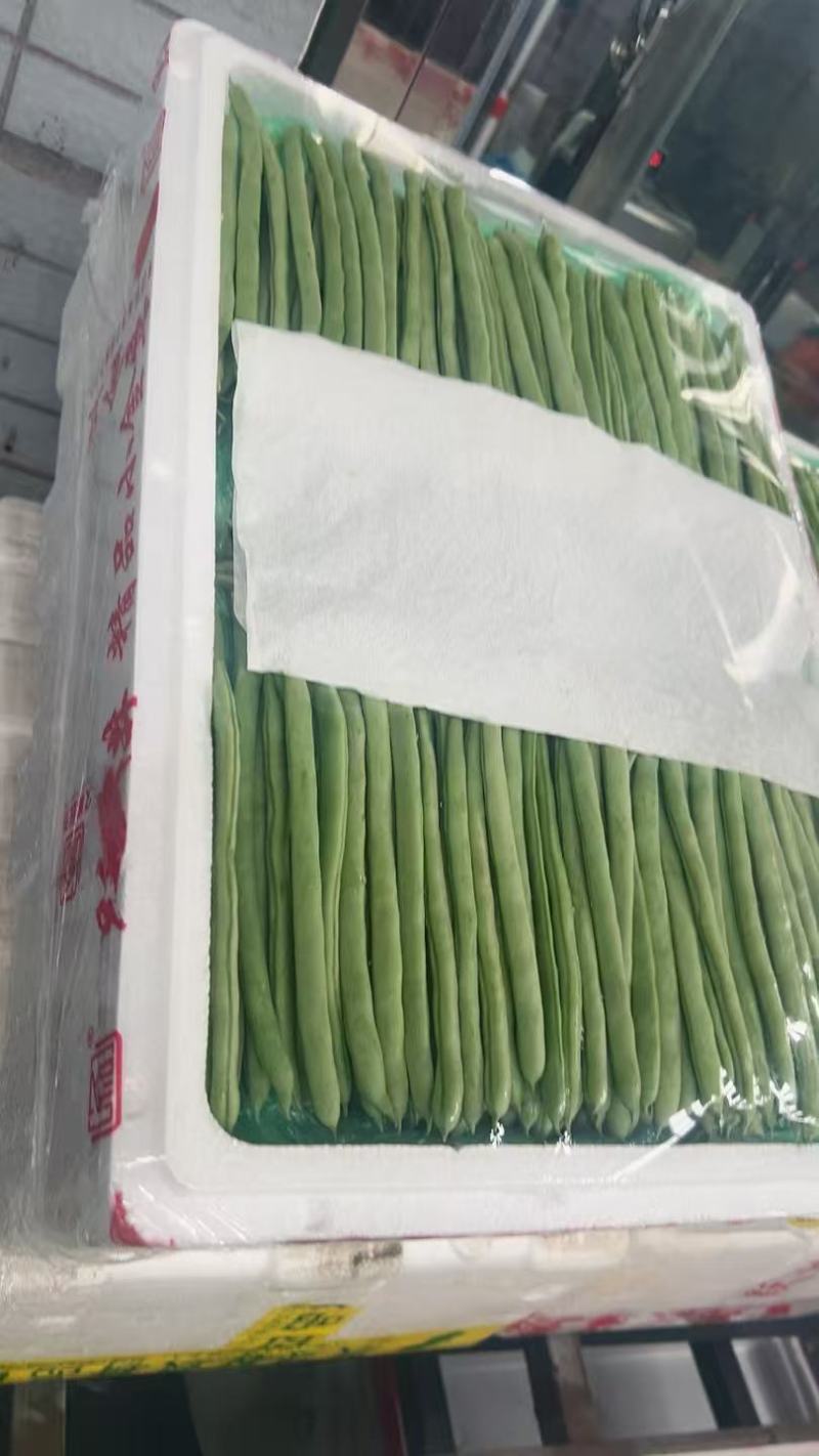 四季豆云南产地直发价格优惠品质保证欢迎来电
