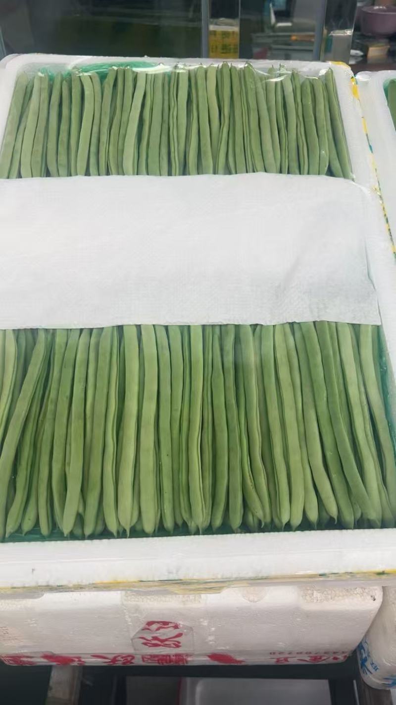 四季豆云南产地直发价格优惠品质保证欢迎来电