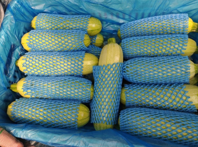 山东精品西葫芦大量接单供应商超餐饮档口批发出口外贸等