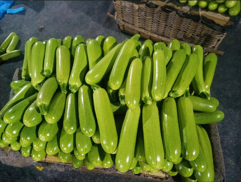 山东精品西葫芦大量接单供应商超餐饮档口批发出口外贸等