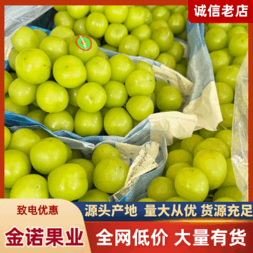 【阳光玫瑰】大荔县晴王葡萄颗粒均匀口感脆甜货源充足
