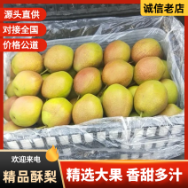 红香酥梨批发，陕西红香酥梨产地，红香酥酥基地价格