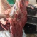 内蒙古草伺黄牛肉***