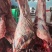 内蒙古草伺黄牛肉***