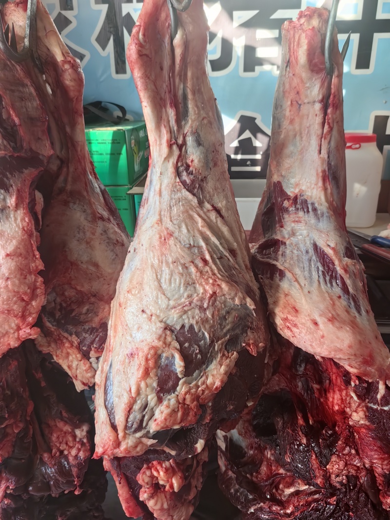 内蒙古草伺黄牛肉***