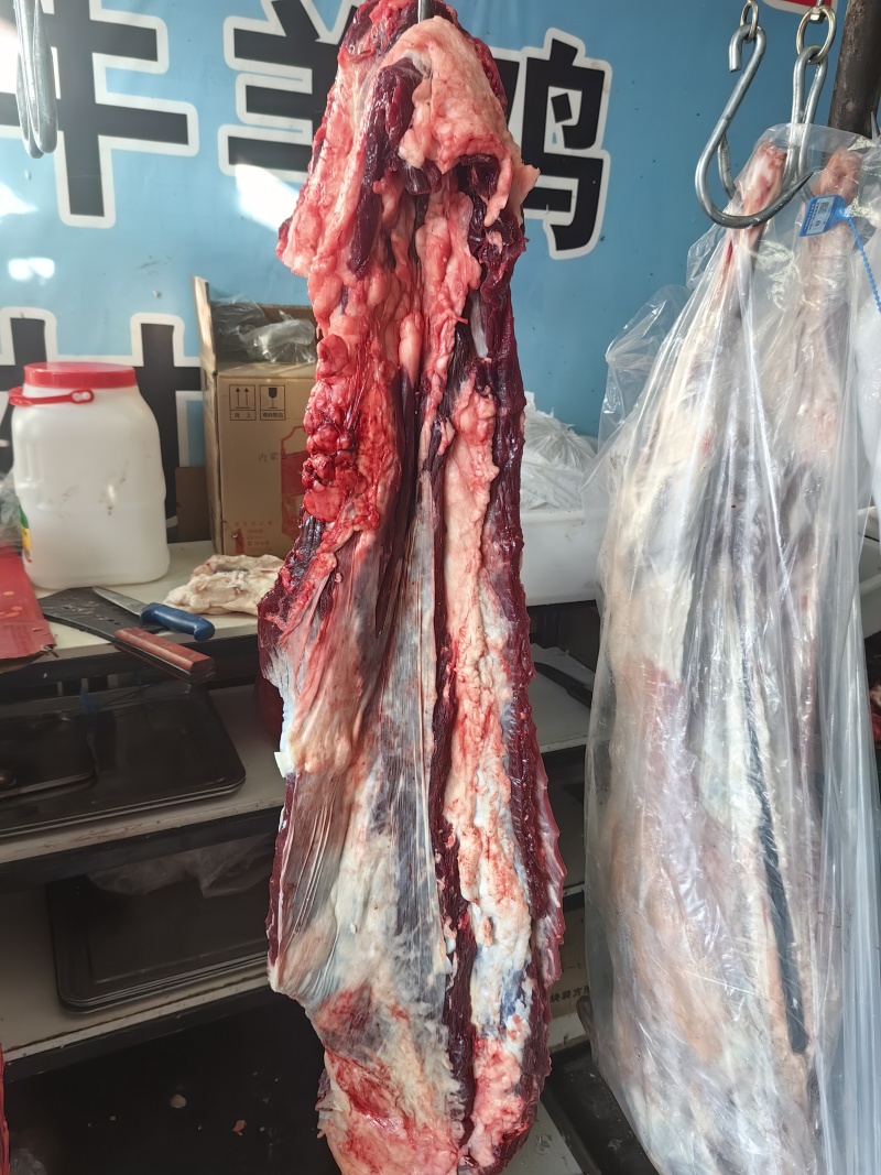 内蒙古草伺黄牛肉***