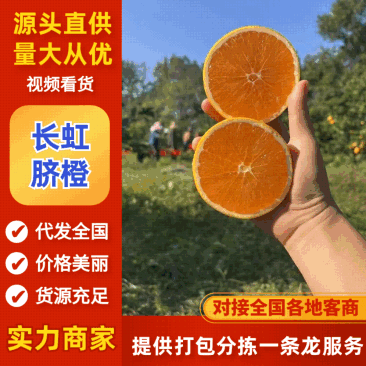 湖北长虹脐橙纽荷尔产地直发货源充足欢迎定购