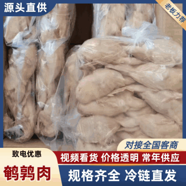 特大鹌鹑货源充足品质保证欢迎老板前来实地考察