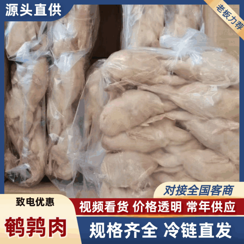 特大鹌鹑货源充足品质保证欢迎老板前来实地考察