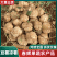 【优选凉薯】广东湛江基地直供质量保证一手货源量大优