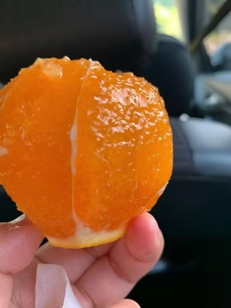 热卖推荐精品九月红脐橙果冻橙全国发货保质保量