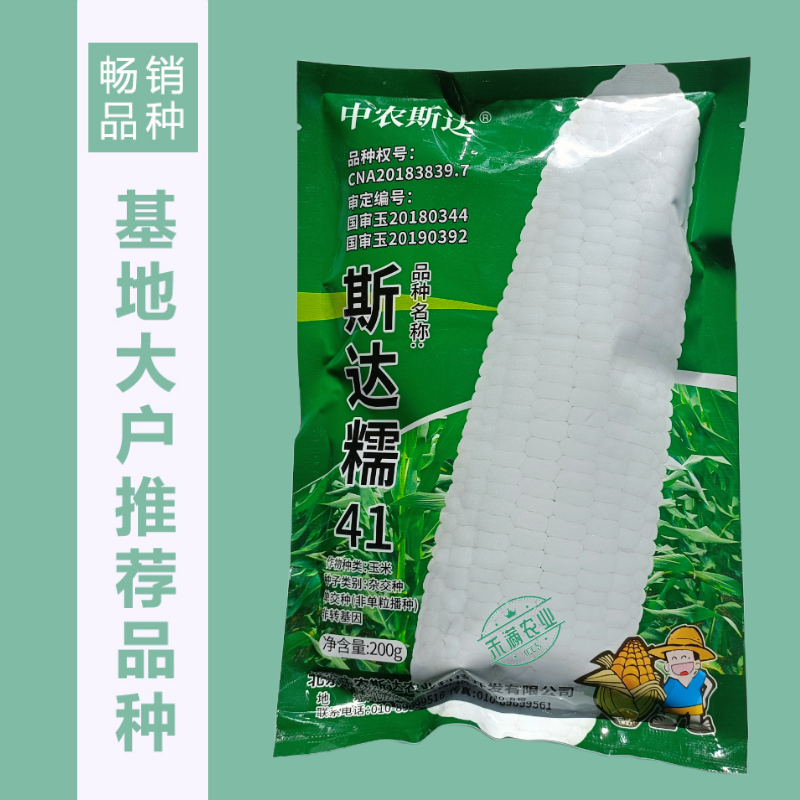 【斯达糯41】白糯玉米种子国审200g大包装大棒子杂交