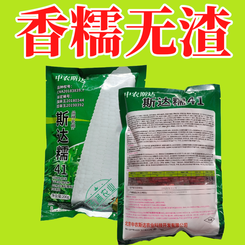 【斯达糯41】白糯玉米种子国审200g大包装大棒子杂交