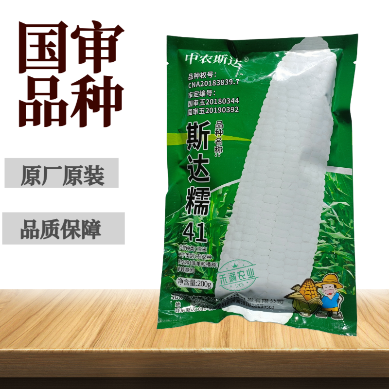 【斯达糯41】白糯玉米种子国审200g大包装大棒子杂交