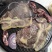 精品牛肉/牛眼肉/规格齐全/一手货源/诚信经营