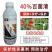 40%百菌清杀菌剂早疫病锈病炭疽病叶斑病霜霉病果树蔬菜农