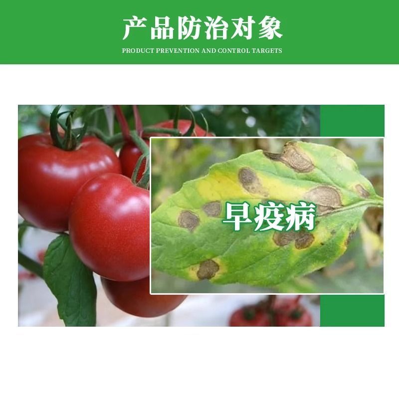 40%百菌清杀菌剂早疫病锈病炭疽病叶斑病霜霉病果树蔬菜农