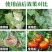 40%百菌清杀菌剂早疫病锈病炭疽病叶斑病霜霉病果树蔬菜农