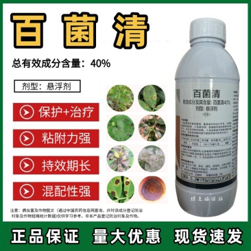 40%百菌清杀菌剂早疫病斑点落叶病霜霉病黑斑病炭疽病果树