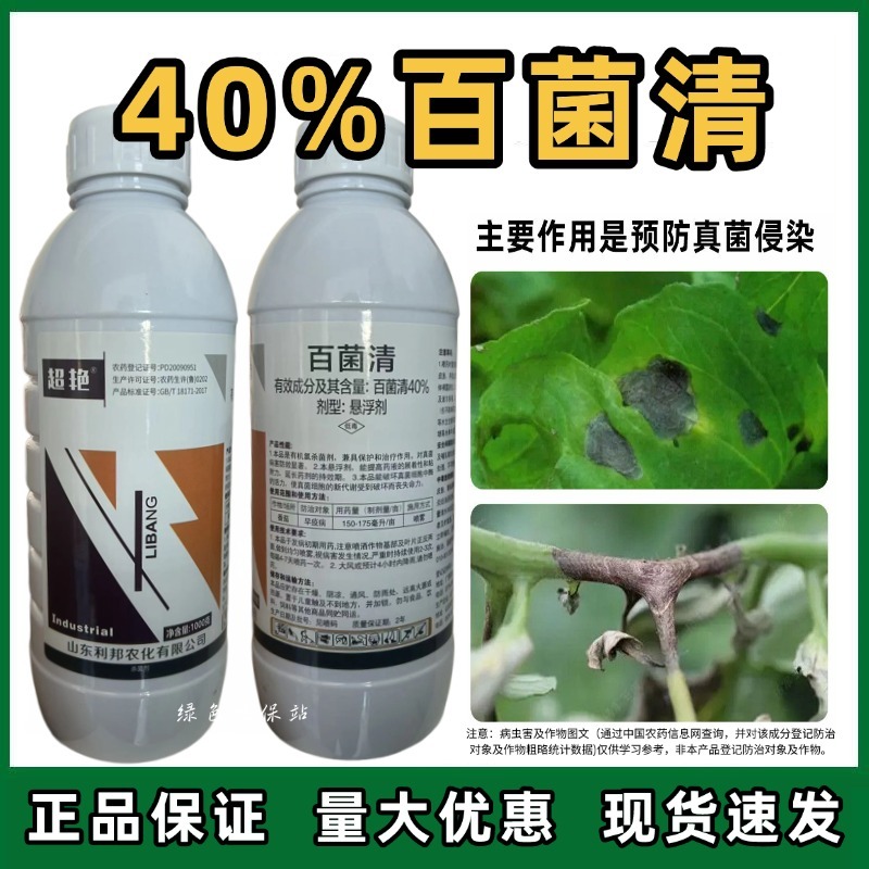 40%百菌清杀菌剂早疫病斑点落叶病霜霉病黑斑病炭疽病果树