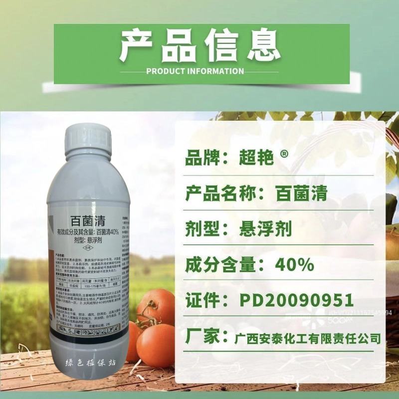 40%百菌清杀菌剂早疫病斑点落叶病霜霉病黑斑病炭疽病果树