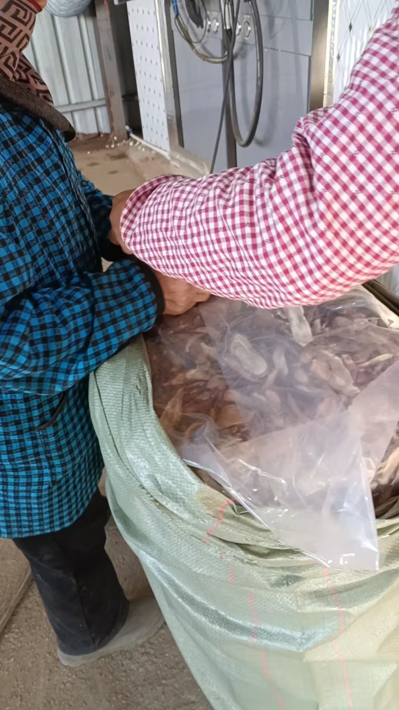 中药材白蔹水洗切片基地种植价格实惠对接药厂药店欢迎老板联系