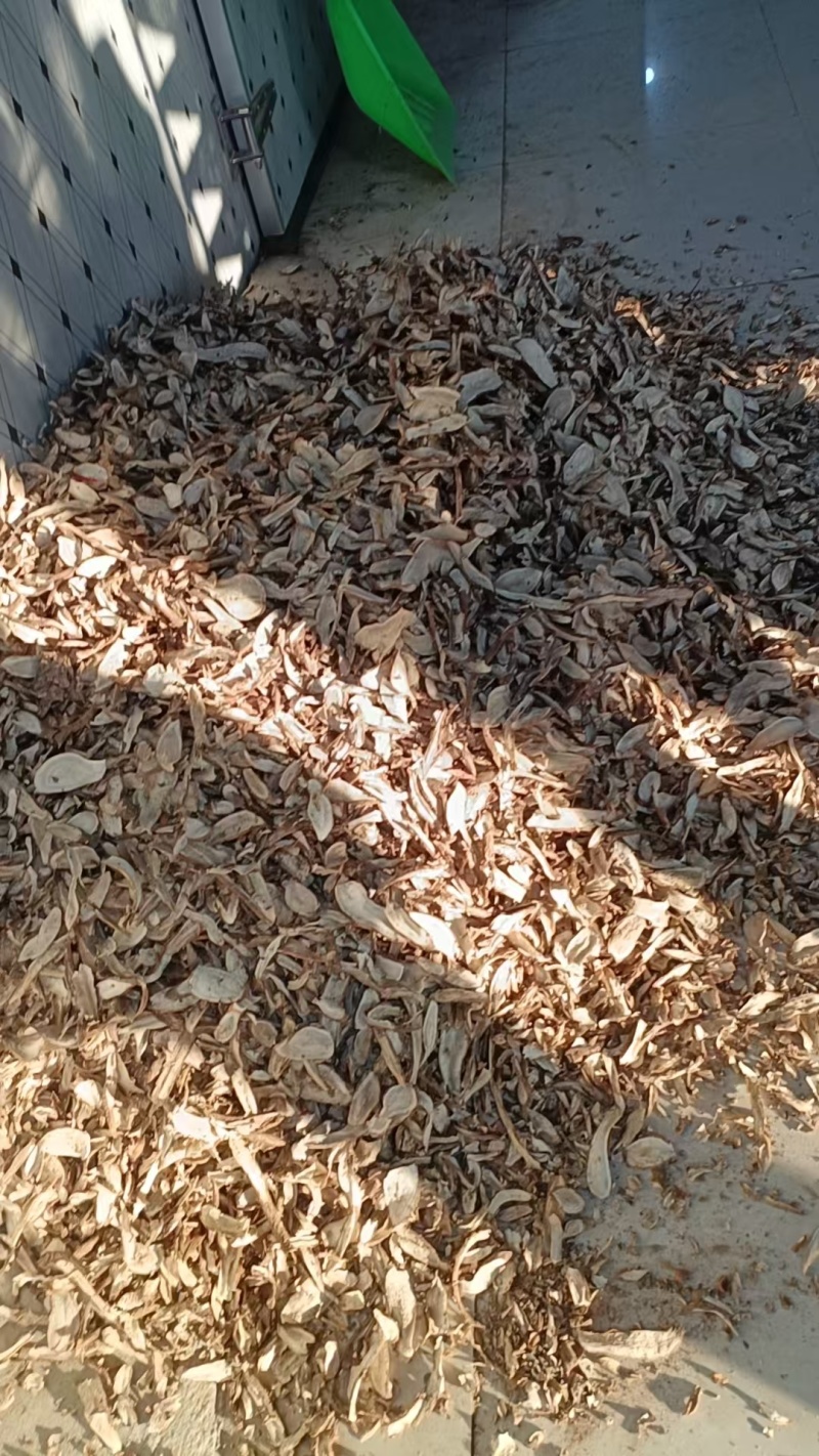 中药材白蔹水洗切片基地种植价格实惠对接药厂药店欢迎老板联系