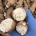 精选干白术安徽药材基地直供质量保证一手货源量大优惠