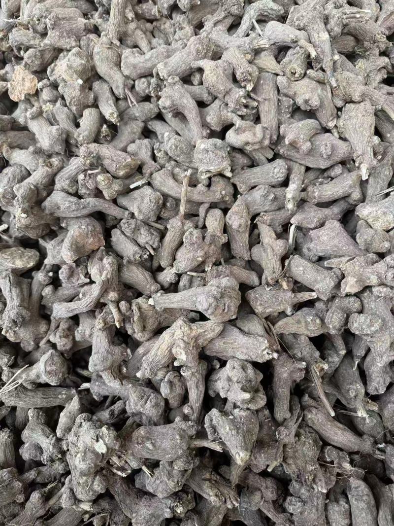 精选干白术安徽药材基地直供质量保证一手货源量大优惠