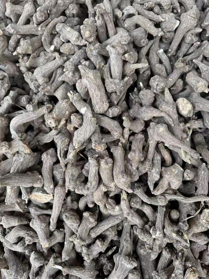 精选干白术安徽药材基地直供质量保证一手货源量大优惠