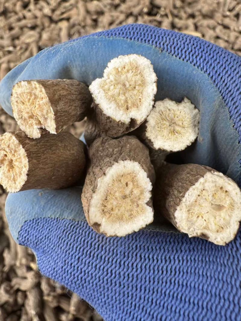 精选干白术安徽药材基地直供质量保证一手货源量大优惠