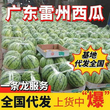 精选《美都西瓜》安徽砀山精品美都西瓜/包熟包甜/全国发货