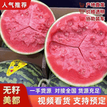 无籽美都西瓜【安徽砀山】规格齐全/大棚西瓜/全国发货