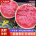 无籽美都西瓜【安徽砀山】规格齐全/大棚西瓜/全国发货