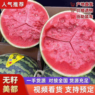 无籽美都西瓜【安徽砀山】规格齐全/大棚西瓜/全国发货