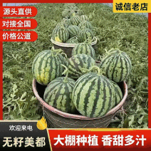 【麒麟西瓜】广东雷州大棚西瓜/雷州西瓜/大棚瓜/包熟包甜