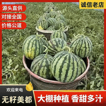 《麒麟西瓜》安徽大棚西瓜大棚瓜/包熟包甜/全国代发