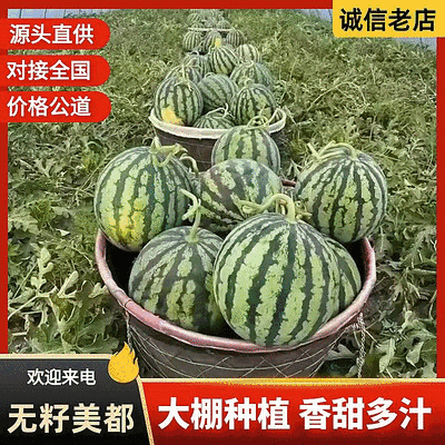 《麒麟西瓜》安徽大棚西瓜大棚瓜/包熟包甜/全国代发