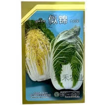 似锦大白菜种子不易抽苔黄芯炮弹型外叶绿早熟种籽农播王