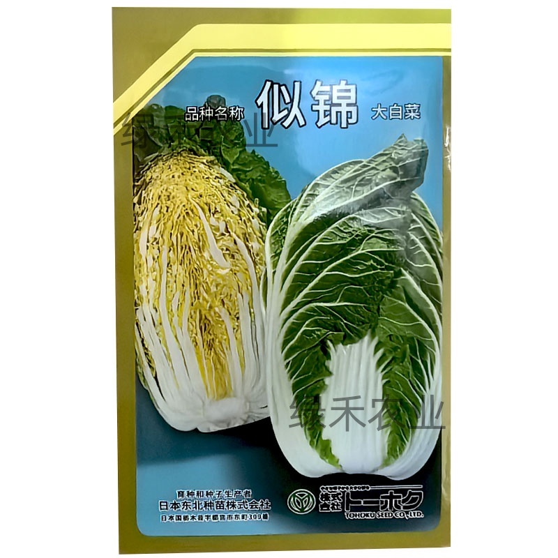 似锦大白菜种子不易抽苔黄芯炮弹型外叶绿早熟种籽农播王