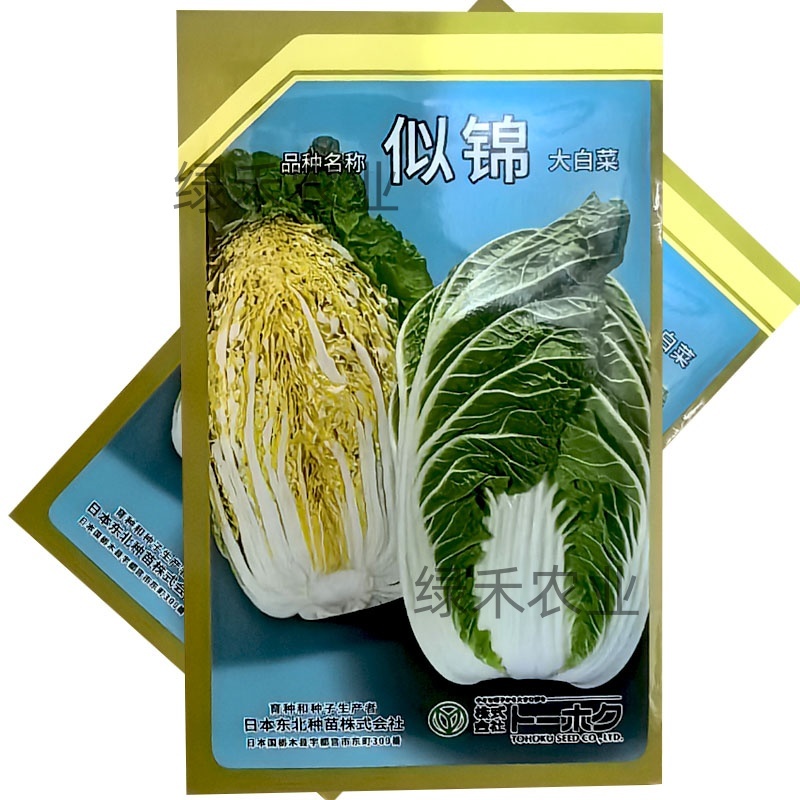 似锦大白菜种子不易抽苔黄芯炮弹型外叶绿早熟种籽农播王