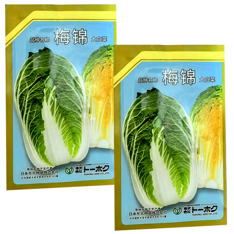 梅锦大白菜种籽黄芯早熟不易抽薹易栽培丰产抗病原装正品白菜