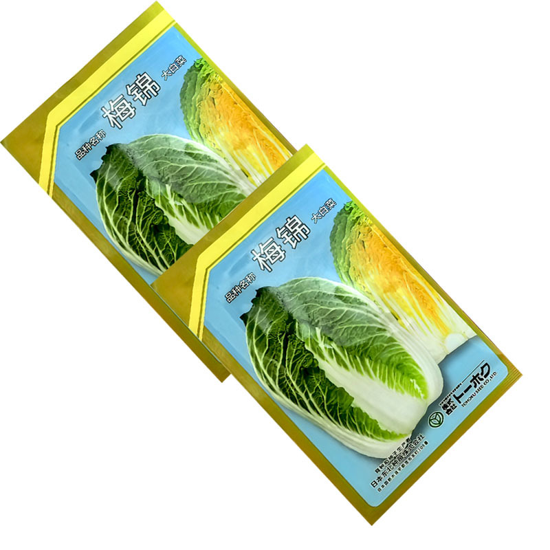 梅锦大白菜种籽黄芯早熟不易抽薹易栽培丰产抗病原装正品白菜