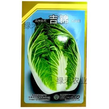 吉锦大白菜种子进口种孑早春越冬大白菜种籽抗寒耐低耐抽苔