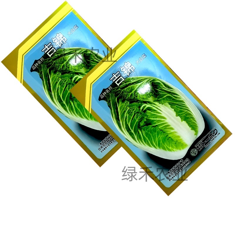 吉锦大白菜种子进口种孑早春越冬大白菜种籽抗寒耐低耐抽苔