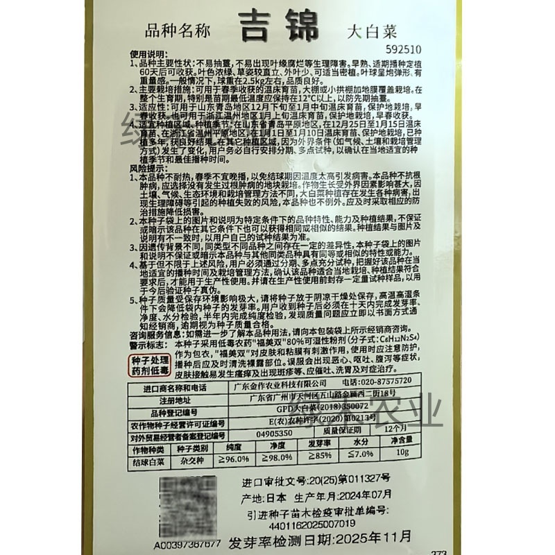 吉锦大白菜种子进口种孑早春越冬大白菜种籽抗寒耐低耐抽苔