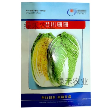 黄心白菜种子君川珊珊白菜种籽春季基地种植大白菜种