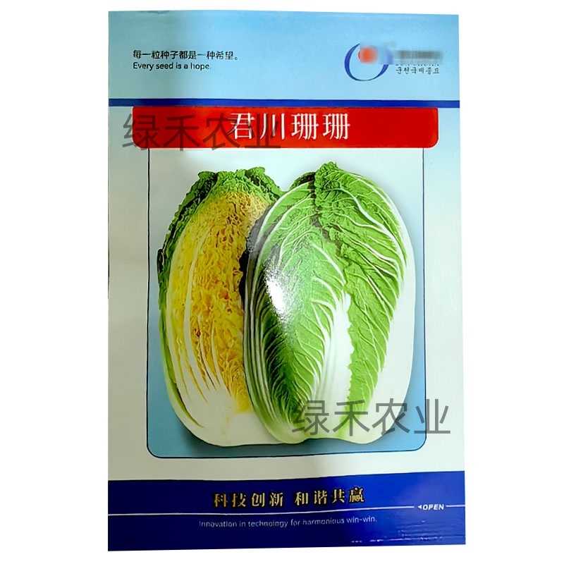 黄心白菜种子君川珊珊白菜种籽春季基地种植大白菜种